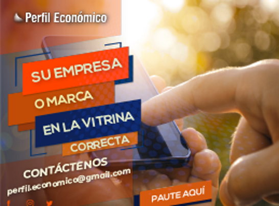 Perfil Económico